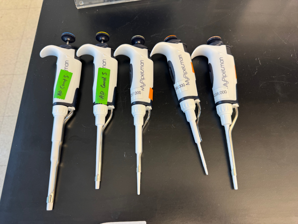 Image of Gilson MyPipetman Single Channel Pipettes - Quantity 5